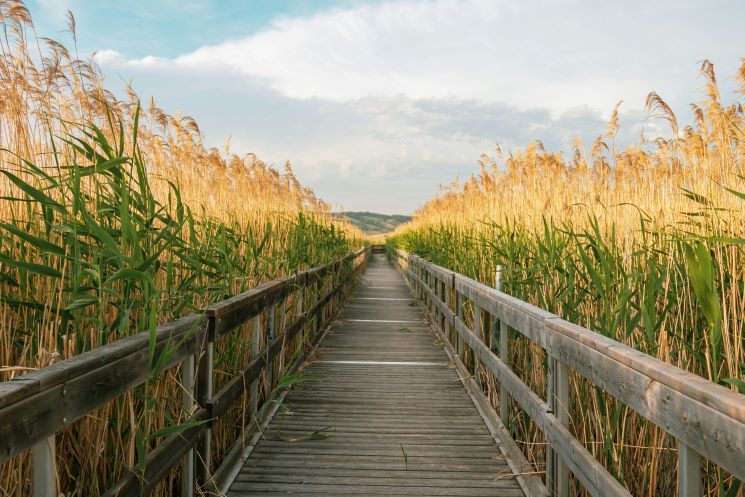 Elopement packages in Saskatchewan