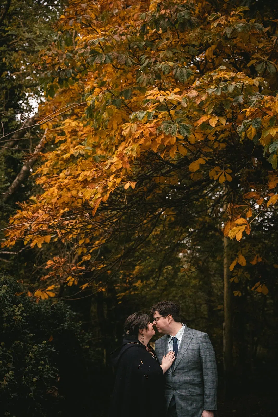 Newlyweds pausing under a tree with autumn foliage, the perfect backdrop for their Skye elopement