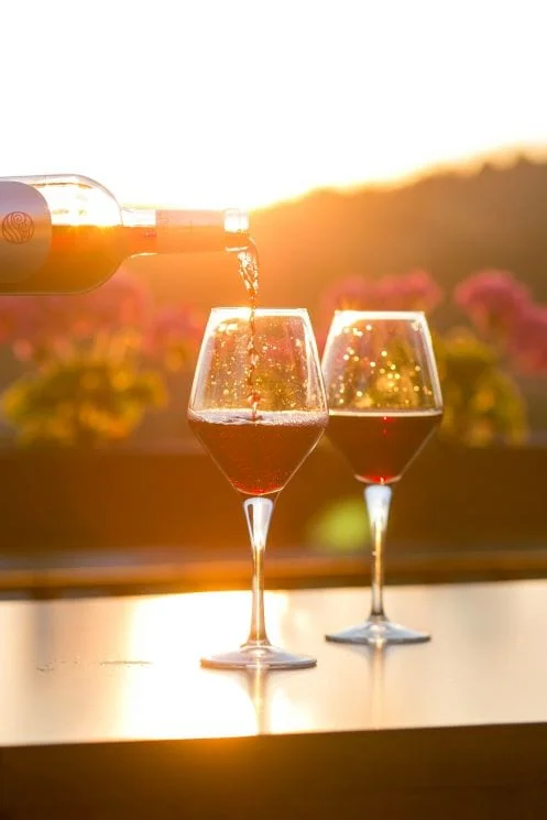 What to do on your Croatia elopement - Wine tasting in Istria