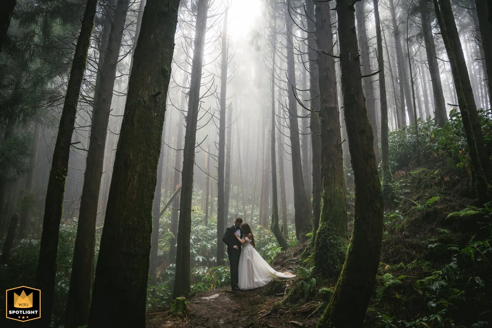 Elopement in a misty forest for Zephyr & Luna wedding.