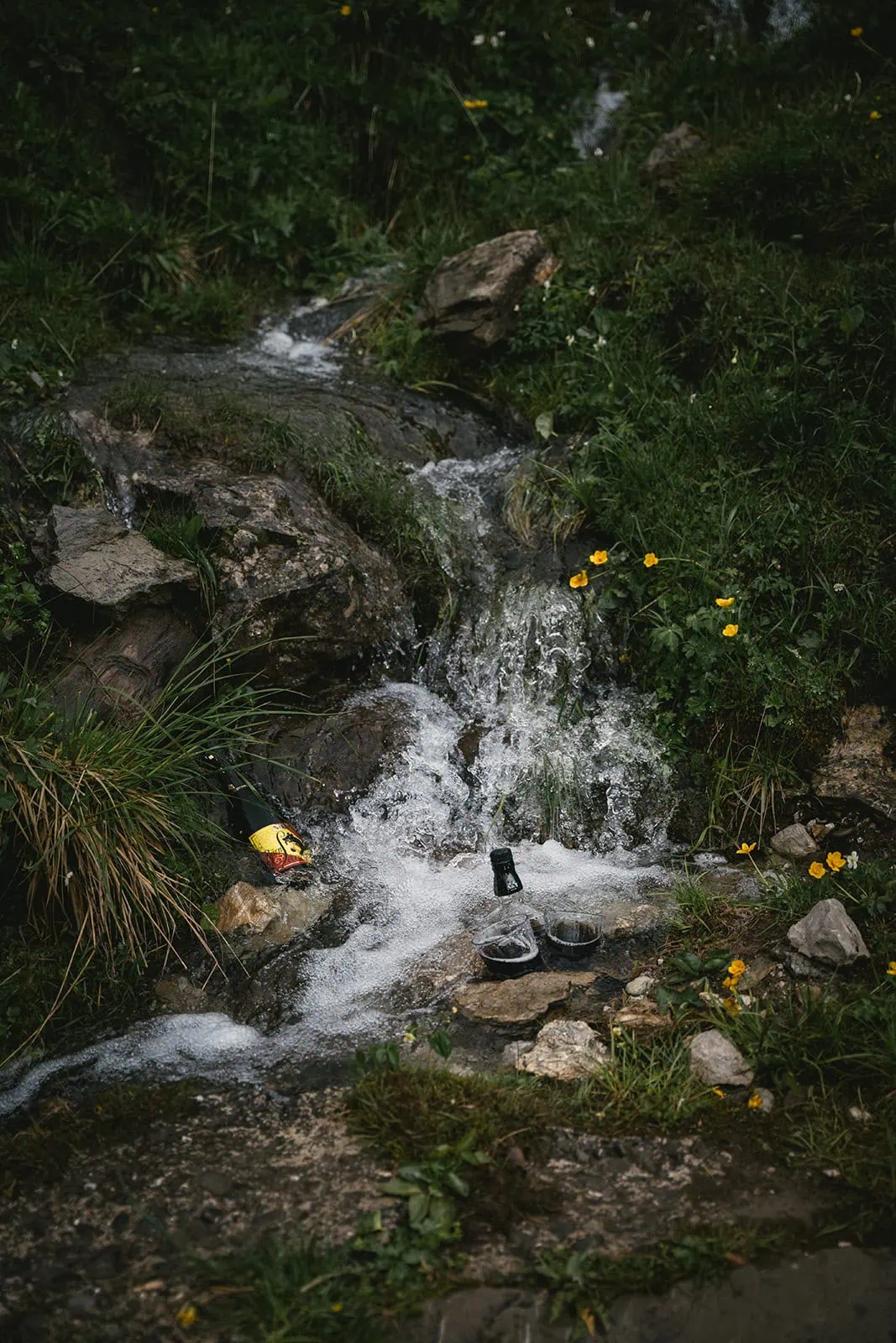 The newlyweds' picnic drinks cooling in a river during their Bern elopement