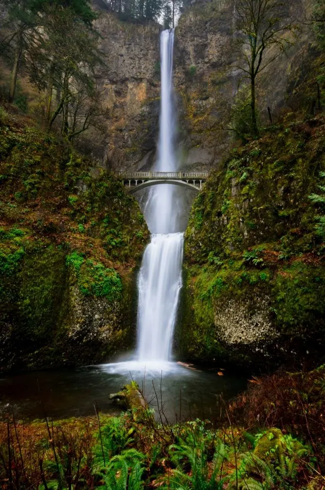 Oregon elopement package - 3 days
