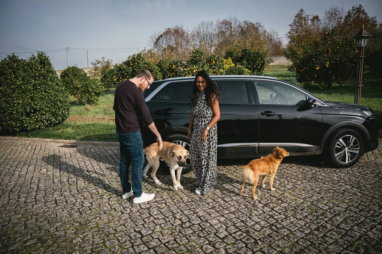 Newlyweds welcoming by dogs in their Lisbon elopement