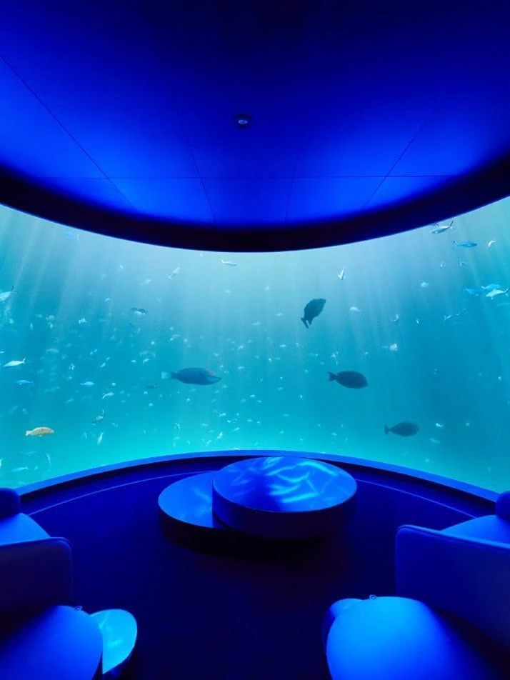 Underwater elopement – Hotels