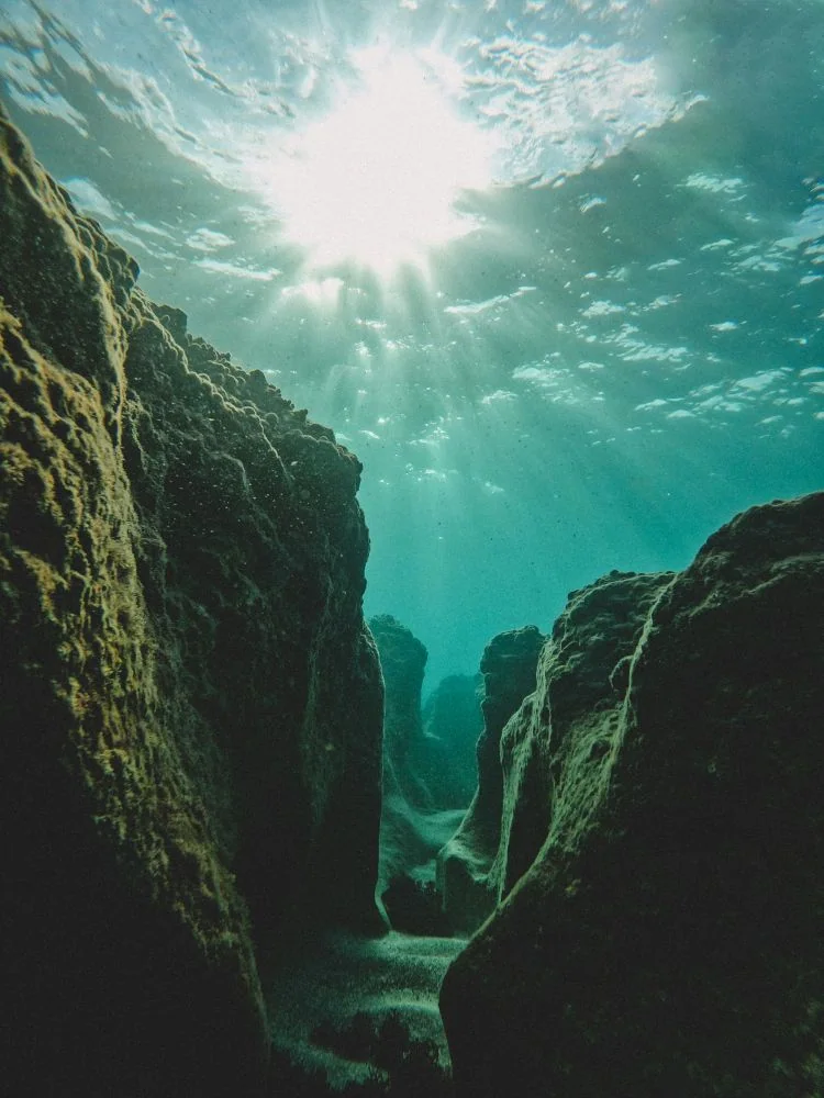 Underwater elopement packages and pricing