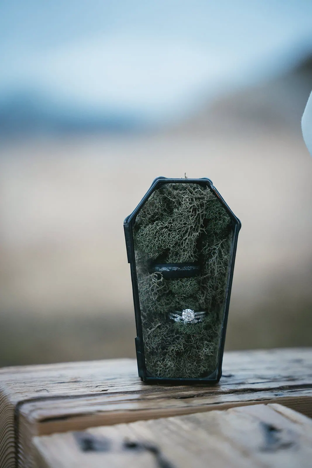 Close-up of the wedding ring box during this Vik elopement