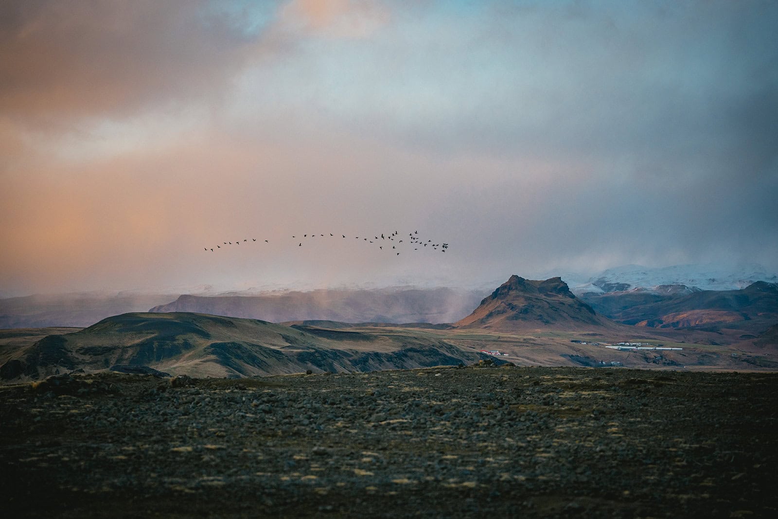 A peaceful moment as birds fly over Iceland during a Vik elopement
