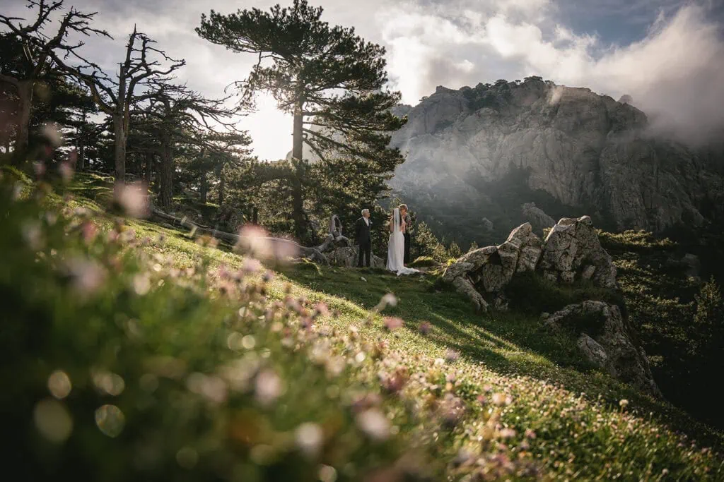 Wildflowers, whispers, and forever—Corsica elopement daydream