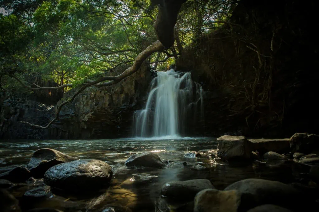 How legally elope in Maui