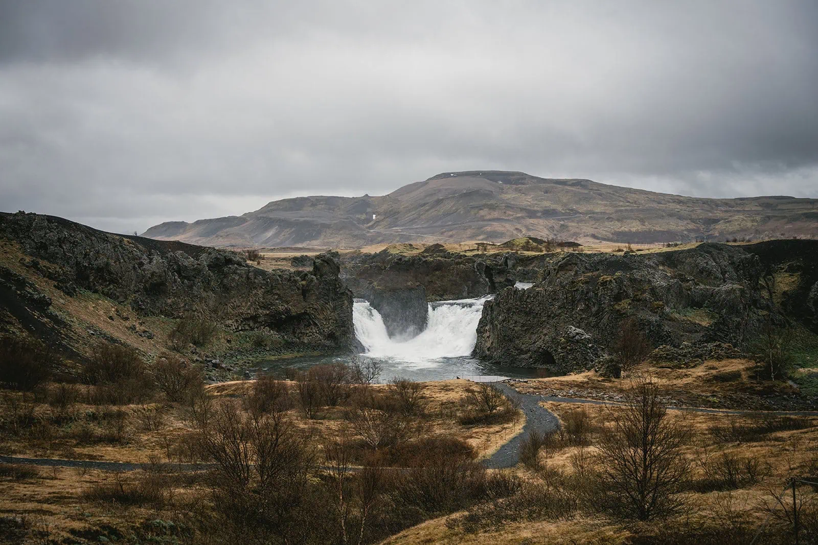 A Force-filled adventure: Reynisfjara elopement under Iceland’s mystical skies