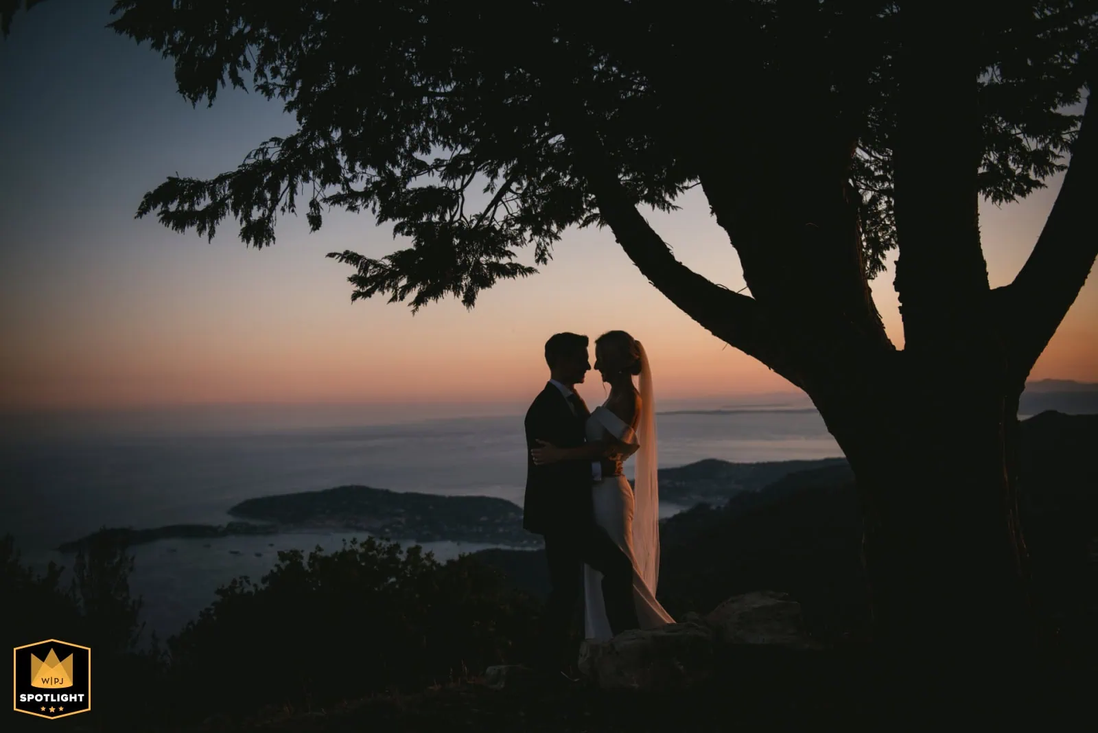 Testimonial from a couple who eloped in Florida with Zephyr & Luna