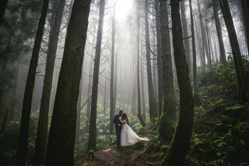 Misty forest wedding with bride and groom embracing among tall trees, romantic and magical atmosphere.