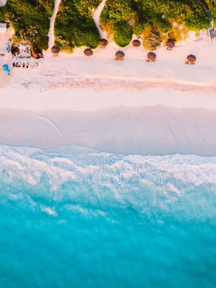 Bahamas elopement - Harbour Island’s Pink Sand Beach