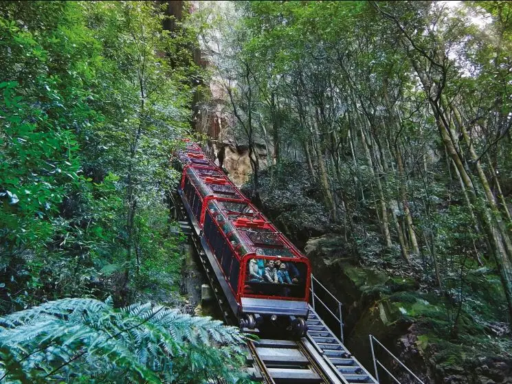 What to do during your Blue Mountains elopement - Ride the Scenic Railway at Scenic World