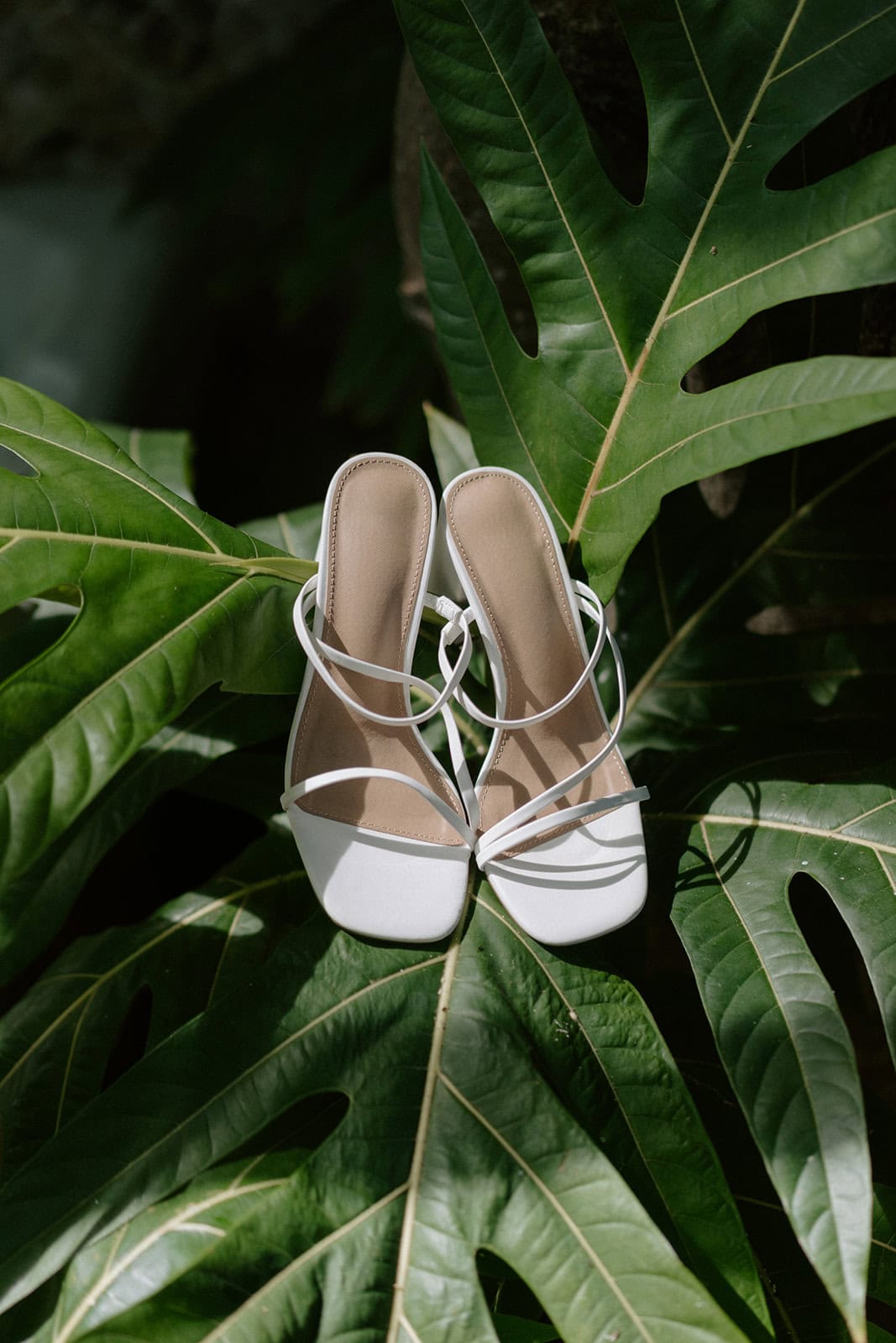 Beautiful white bridal heels resting on vibrant tropical foliage for beach wedding.
