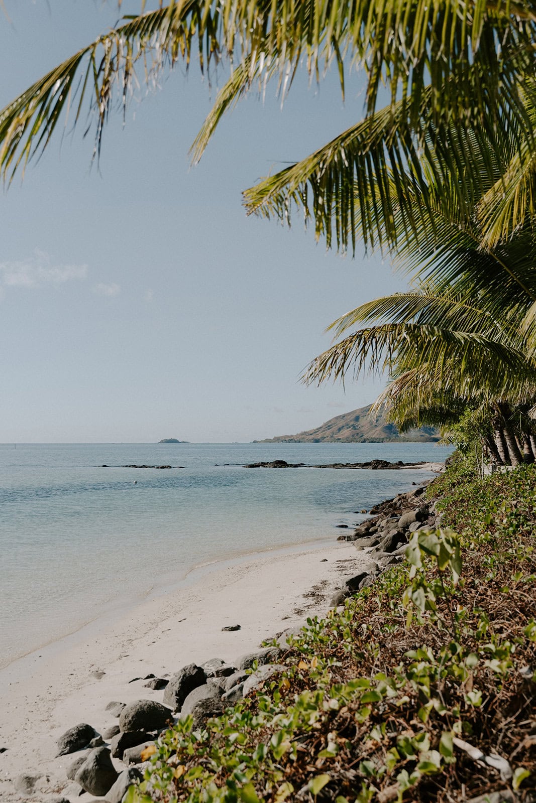 Elopement on a tropical beach with palm trees and ocean view in Yasawa Islands.