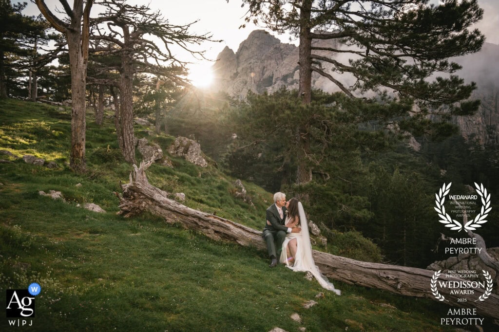 Elopement in Italy with a couple sitting on a fallen tree in a scenic mountain forest at sunset.